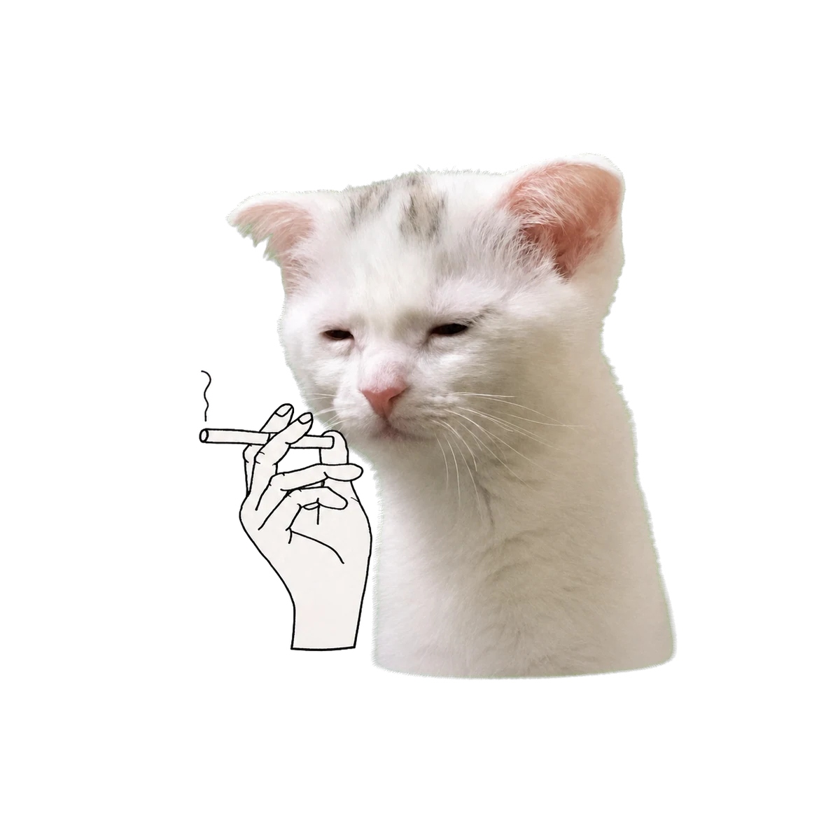 Exhausted Cat with a drawn hand holding a cigarette